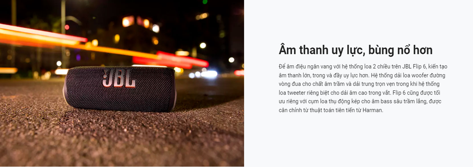 Loa không dây JBL Flip 6