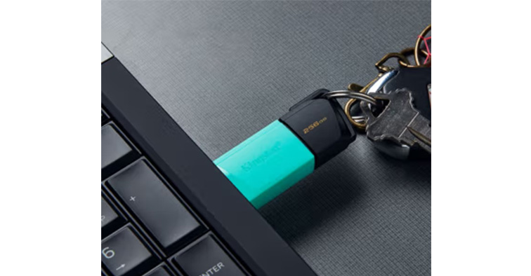 USB Kingston DTXM